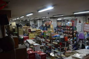 桃花綻放迎客來，秦人村落笑聲多——互聯網創新為鄉村旅鋪就“云端”致富路
